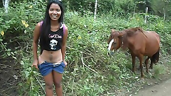 Amore Cavallo-Adolescente: L'Intensa Esperienza Di Heather Con Un Pene Gigante