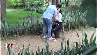 Secretly Observing A Pair In A Park For Public Sex