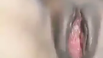 Vídeo Casero Amateur Del Placer Anal De Una Joven De 18 Años