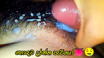 Hairy Pussy And Big Cock In Homemade Sri Lankan Porn