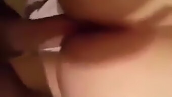 Algerian Tits And Arab Cocks In 97ba'S Latest Video