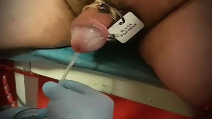 Experimente a emoção do BDSM com este vídeo de junho de 2019